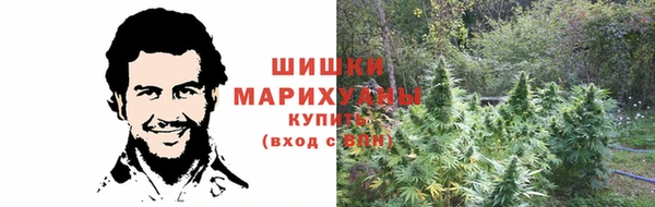амф Арсеньев