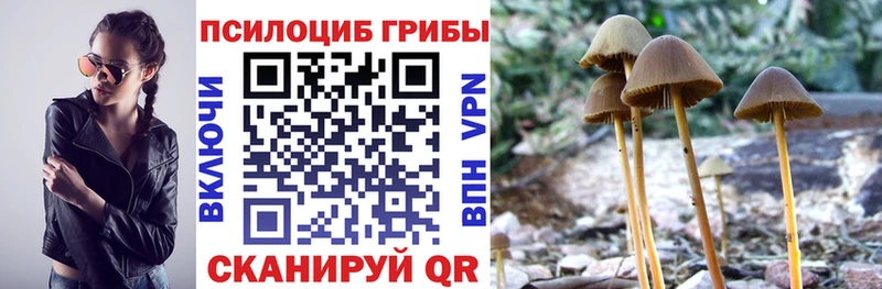 цена   Советск  shop как зайти  Галлюциногенные грибы мухоморы 